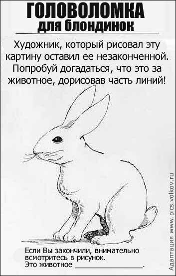 Описание:Кто же это!
