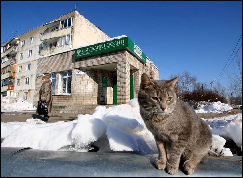 Описание:03. Ва-банк