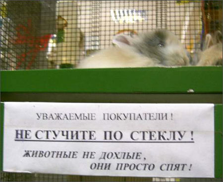 :