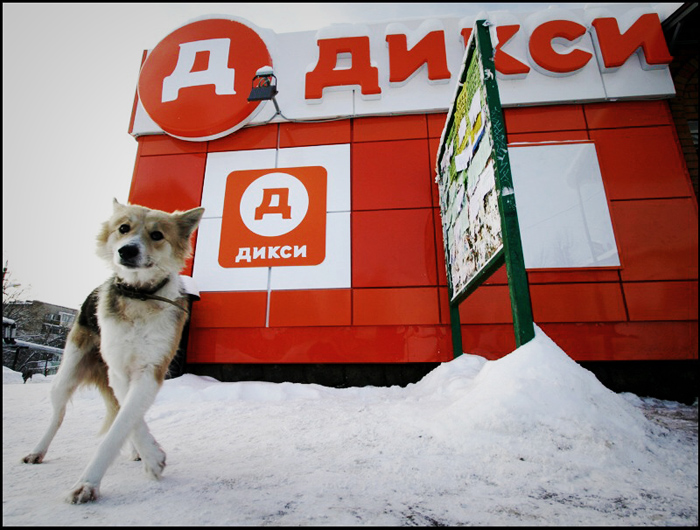 Описание:Собачка