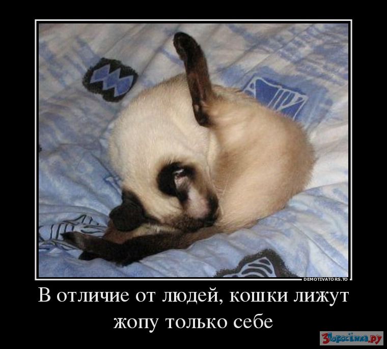 :