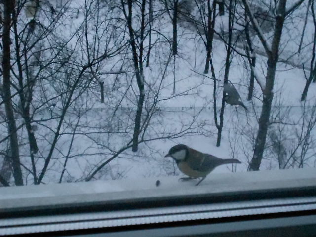 Описание: