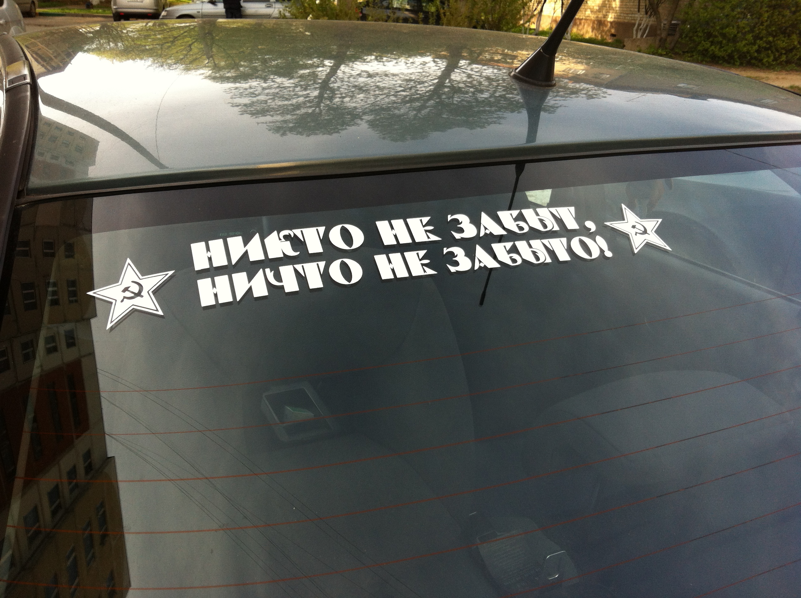 ��������: